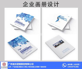 凌志營銷策劃 專業(yè)企業(yè)畫冊(cè)設(shè)計(jì)與軟件開發(fā)服務(wù)